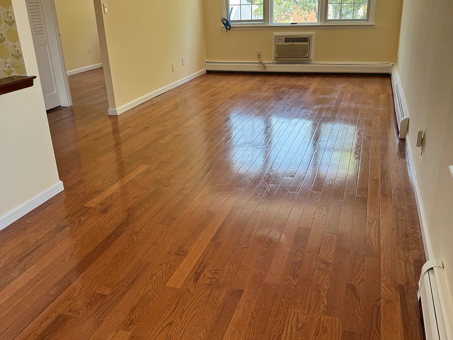 3 bed, 1.5 bath, 1000 sqft, $3,300 — Photo 2
