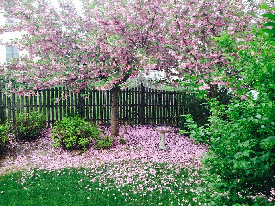 2nd image of 4006 Ferncroft Ln