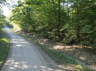 LOT 2 Lockwood Run Rd E LOT 2, Lockwood, NY 14859
