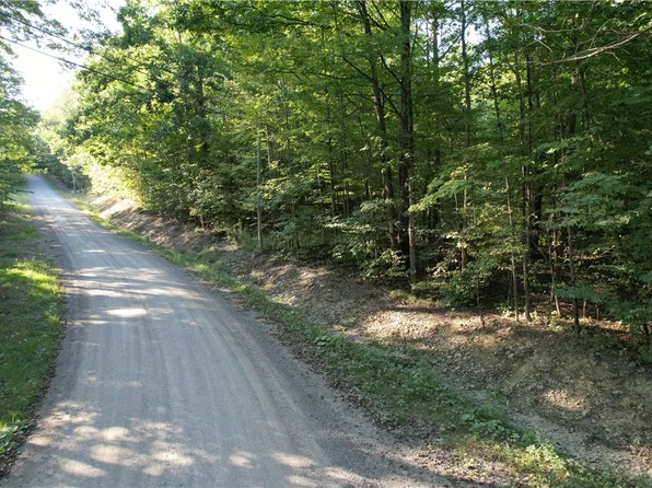 LOT 2 Lockwood Run Rd E Lot 2, Lockwood, NY 14859