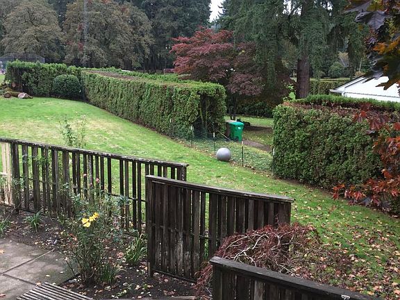 Yard from livingroom