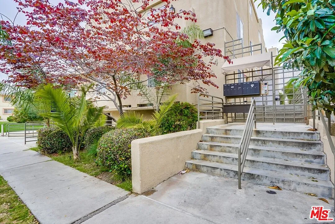 1 bed, 1.0 bath, 800 sqft, $3,000 — Photo 3
