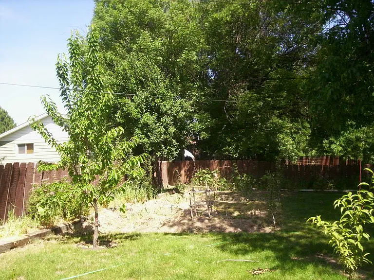 1612 N Illinois Ave — Photo 7