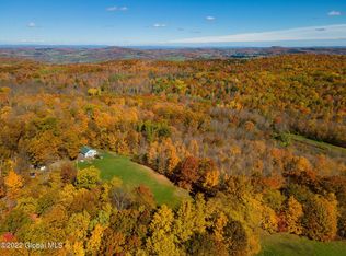 126 White Birch Ln, Richmondville, NY 12149