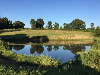 738 Oakley Weaver Rd, Scottsville, KY, 42164