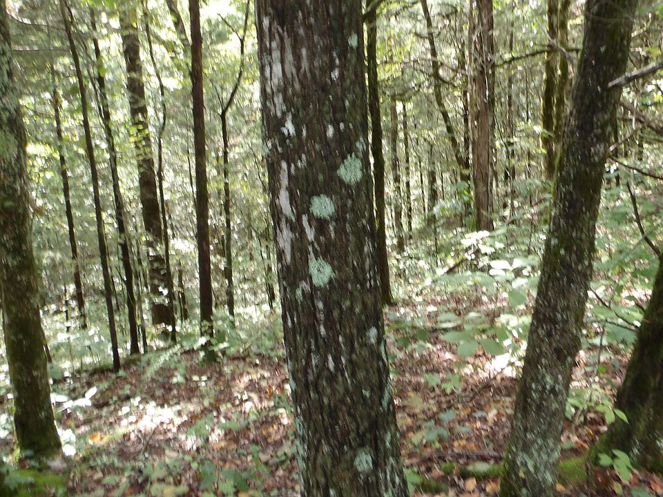 1st image of 0 Rock Springs Rd Lot 73