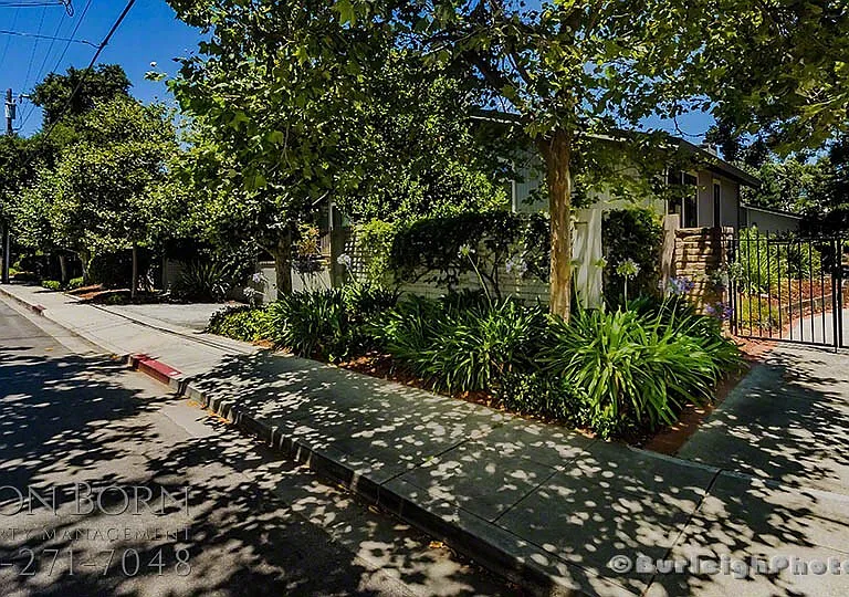 1150 Pine St #D-1 — Photo 17