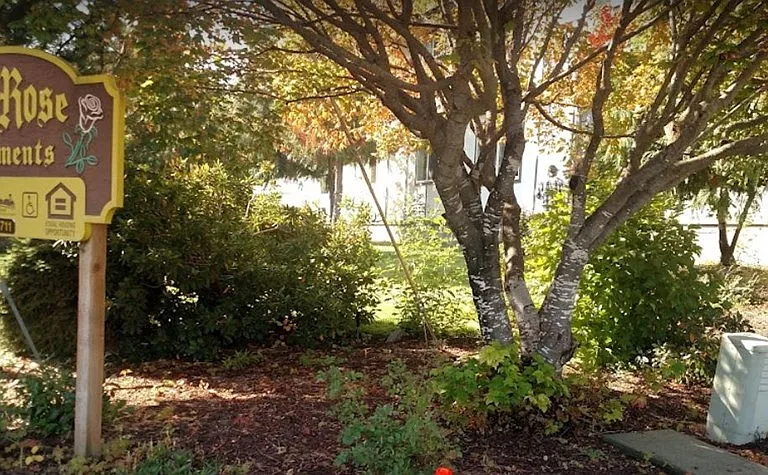 263 Mine St — Photo 2