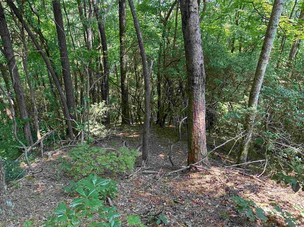 0 Larkspur Ln, Clayton, GA 30525