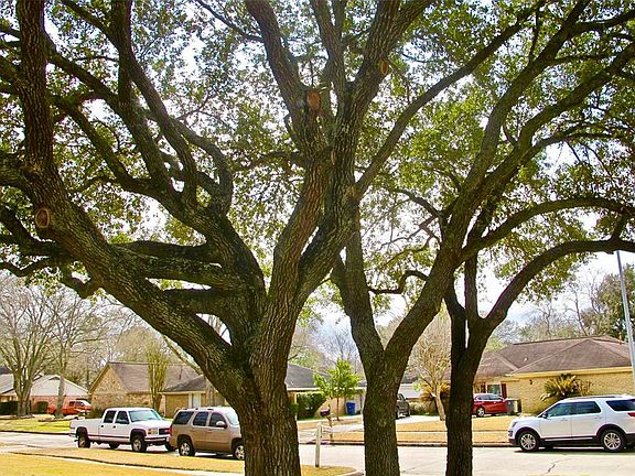3rd image of 2414 Quail Valley East Dr