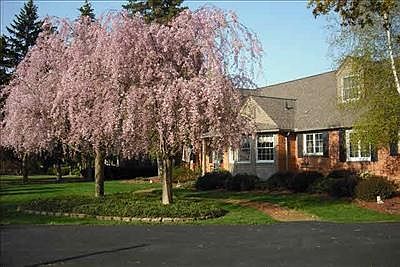 1st image of 22280 Balmoral Dr