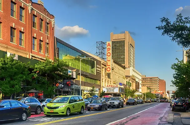 Rented by Living New York | media 22