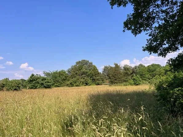 White Dr, Cave City, AR 72521