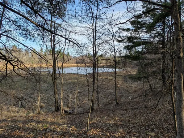 Honkers Holw, Danbury, WI 54830