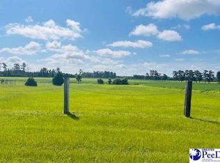 Tbd Bud Graham Rd, Galivants Ferry, SC 29544