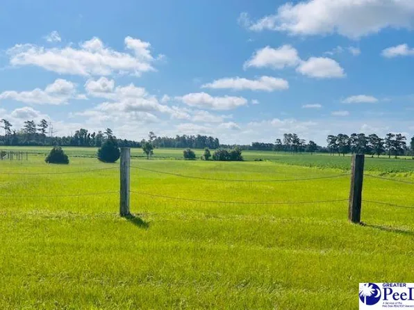 Tbd Bud Graham Rd, Galivants Ferry, SC 29544