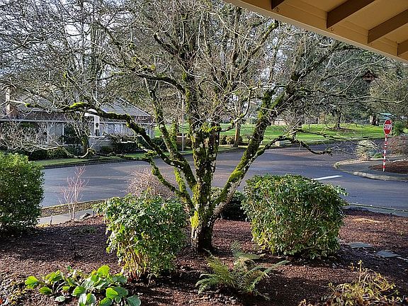 View from living room