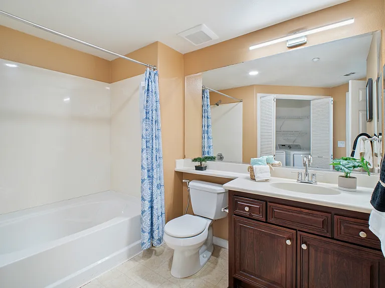 49002 Cinnamon Fern Cmn #402 — Photo 24