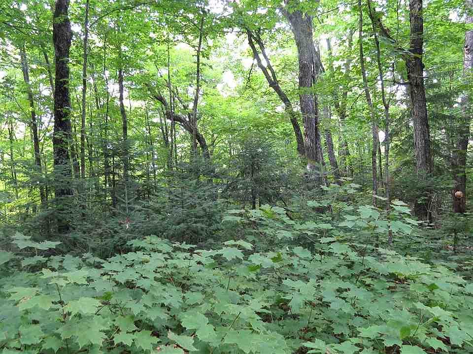 1st image of YYY Murmur Creek