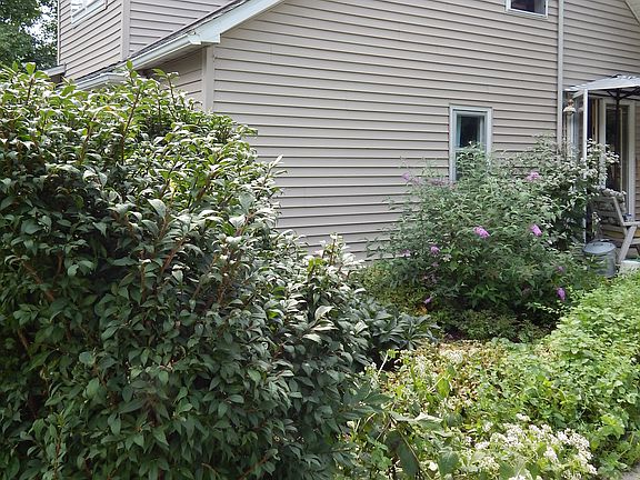 Rear, from driveway