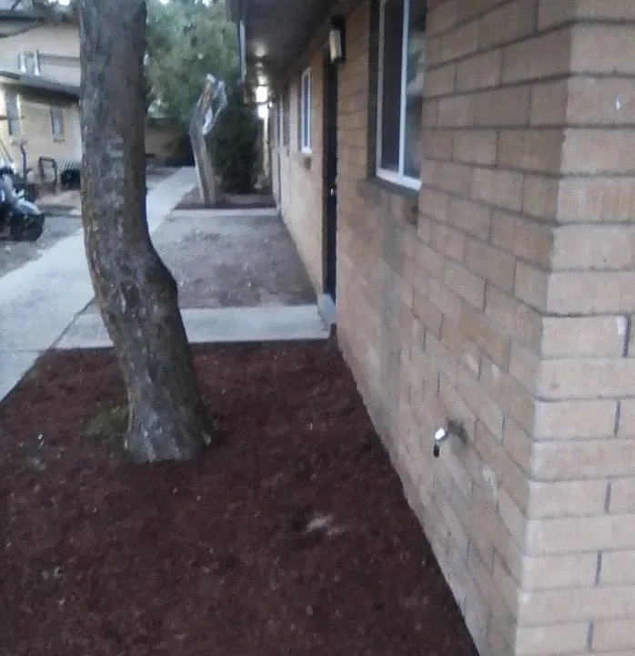 541 Palomas Dr SE