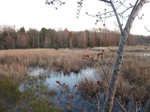 Vz County Road 4701, Ben Wheeler, TX 75754