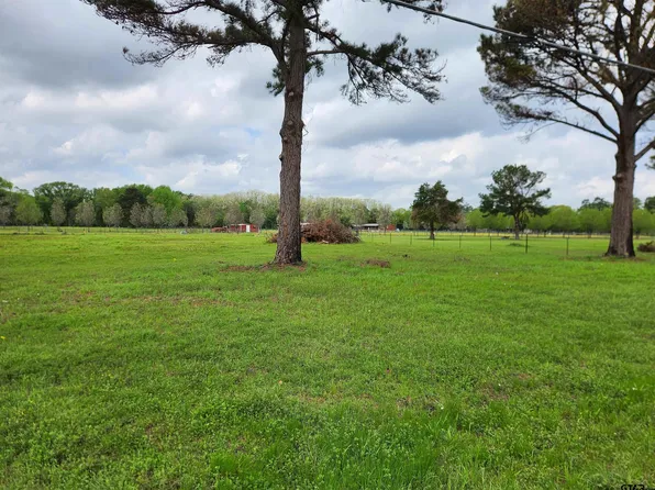 LOT 4 County Road 4202, Chandler, TX 75758