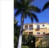 1st image of 2659 Bolero Dr APT 1101