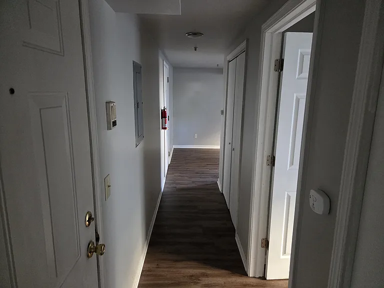 1016 Washington Ave #4 — Photo 3