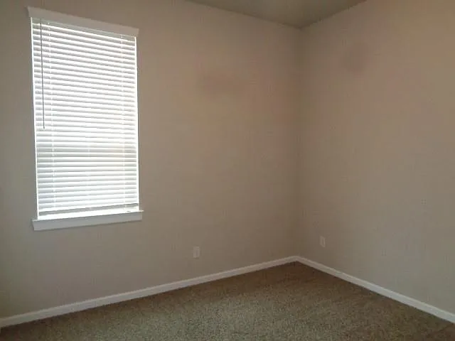 27029 Sofia Forest Dr — Photo 31