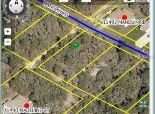 11491 Mandlin Rd, Weeki Wachee, FL 34614