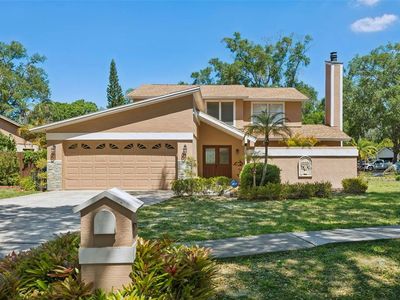 3103 Taragrove Dr, Tampa, FL, 33618