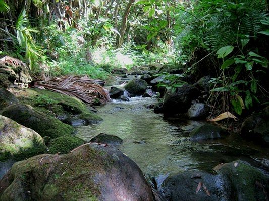 4th image of 27-520 Old Mamalahoa Hwy #4