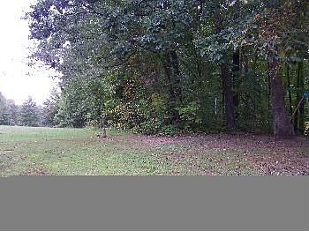 2nd image of 33 Plantation Oaks Ln