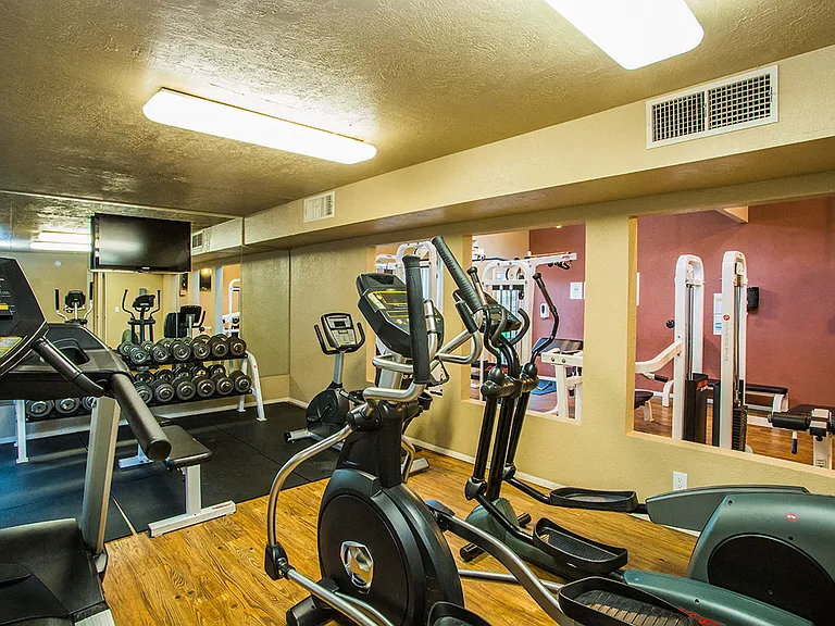 Exercise Machines and Free Weights