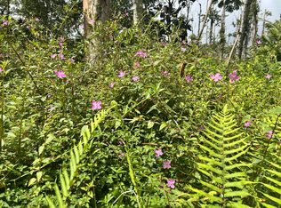 Maui Rd Lot 447, Pahoa, HI 96778