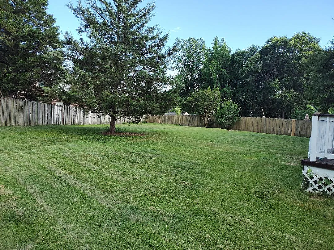4333 Agnes Dr — Photo 2