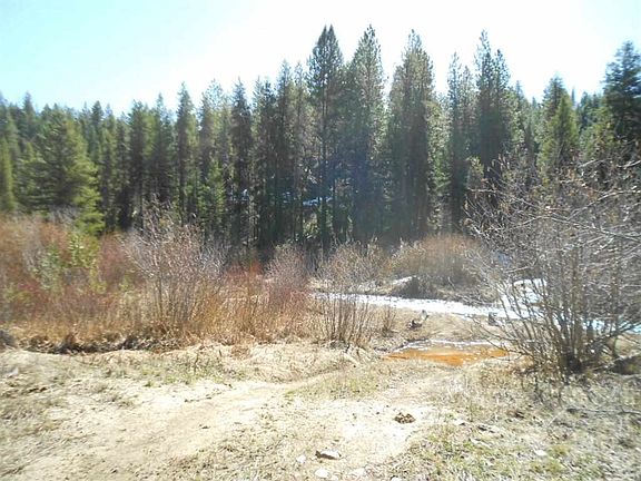 2nd image of 77 Acre Curry Ditch Placer