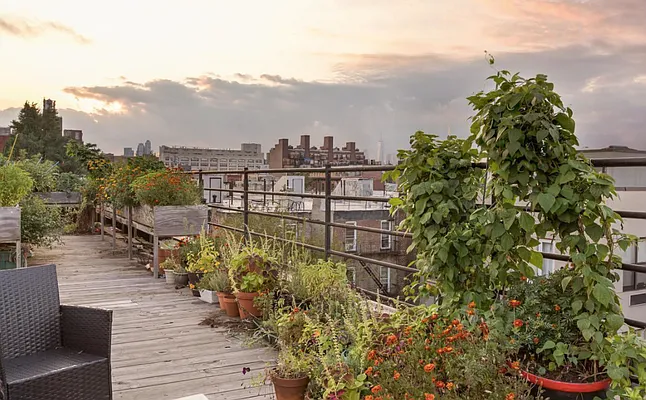 Rented by Manhattan Management LLC | media 73