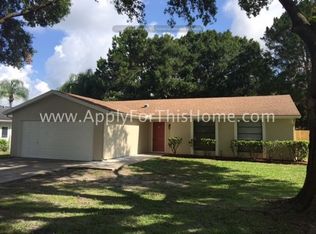 5803 Silver Moon Ave, Tampa, FL 33625