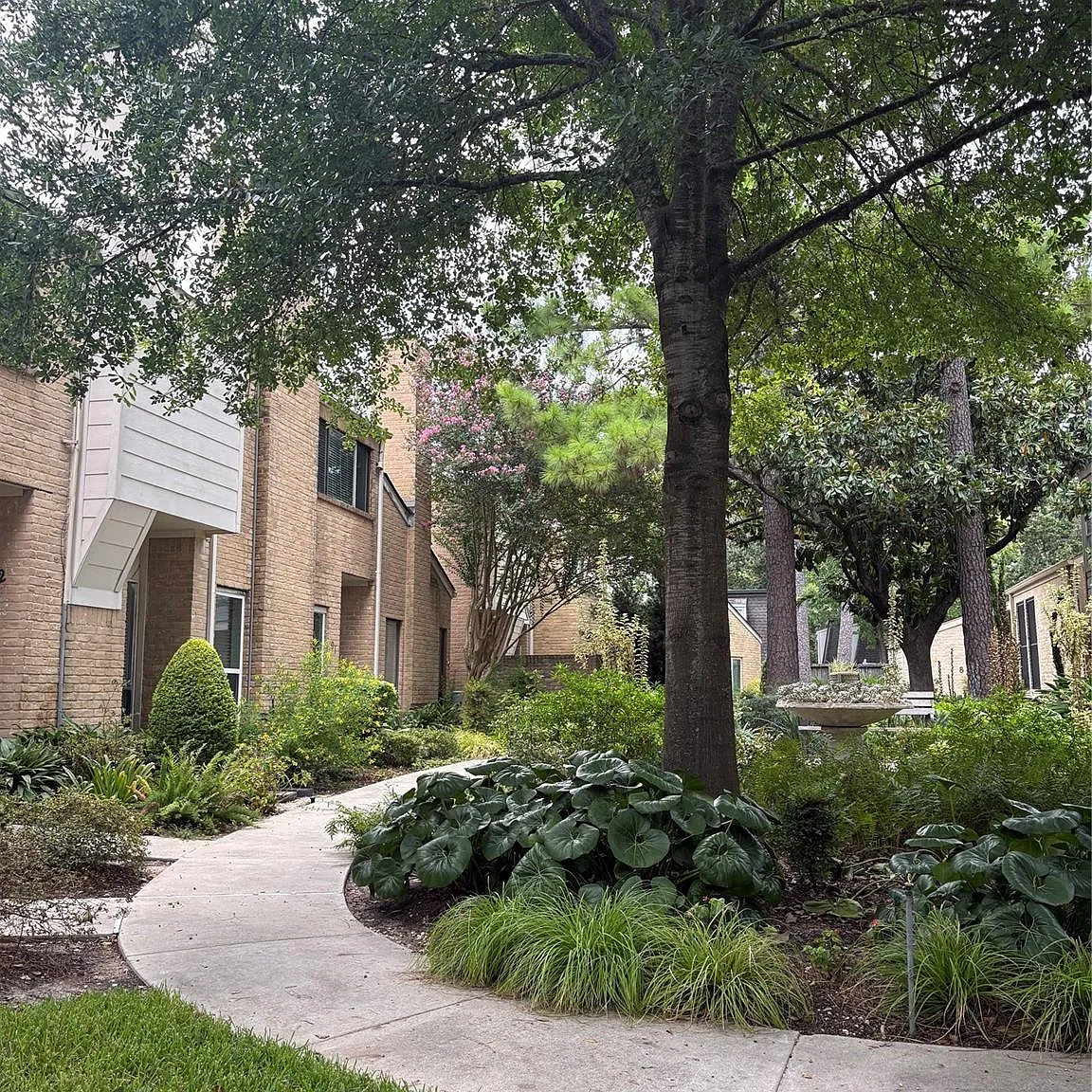 3 bed, 2.5 bath, 1782 sqft, $2,700 — Photo 4
