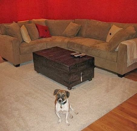 Open Basement for Entertaining