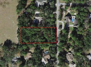 1264 N Castleland Ter, Lecanto, FL 34461