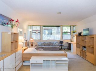 1007 Vine St, Aspen, CO 81611