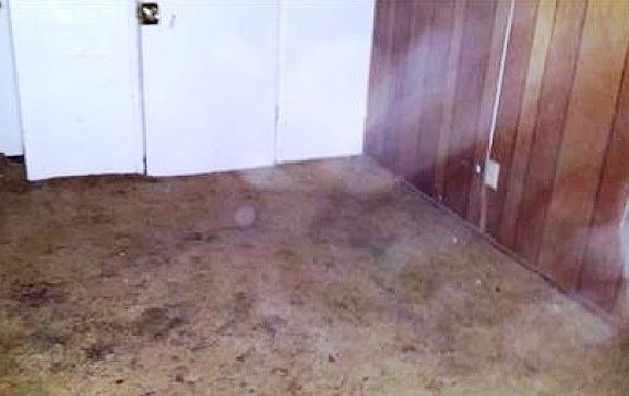 3rd image of 7455 Red Willow St