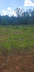 County Road 4314, Larue, TX, 75770