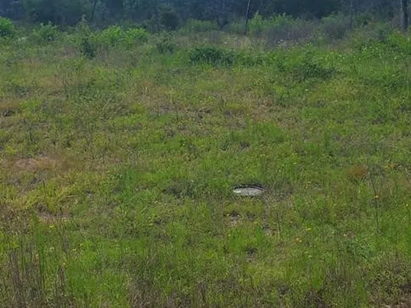 County Road 4314, Larue, TX 75770