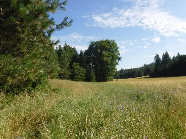 1 Moose Ridge Way, Loon Lake, WA 99148