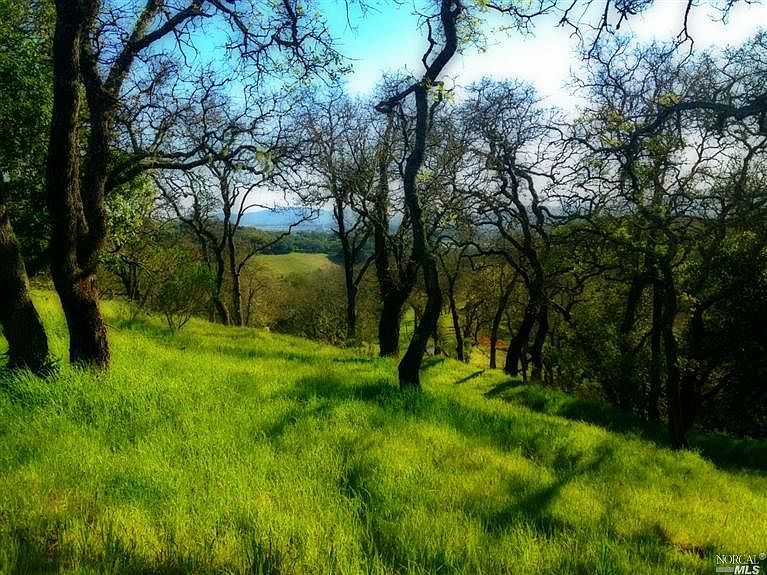 1st image of 2095 Laguna Vista Dr