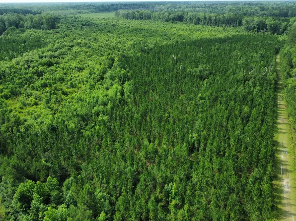 0 McArn Rd #W, Ridgeville, SC 29472